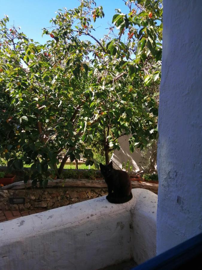 B&B Corte San Lussorio Ольена Экстерьер фото