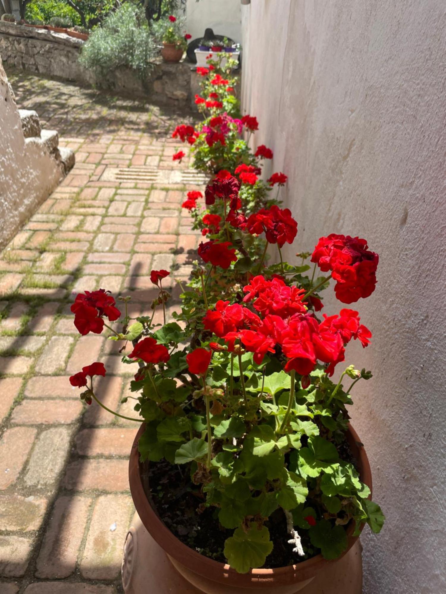 B&B Corte San Lussorio Ольена Экстерьер фото